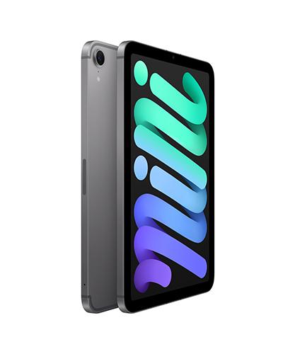 Apple Ipad Mini (A17 Pro) Wi-fi + Cellular 256GB - Space Gray